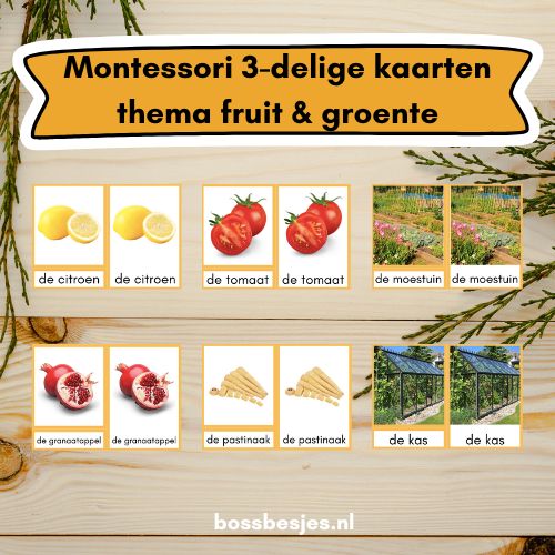 XL! Montessori 3-delige kaarten: thema fruit & groente