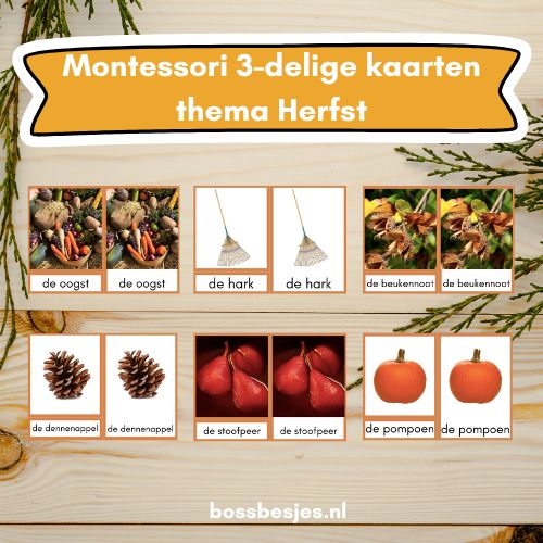Montessori 3-delige kaarten: thema herfst